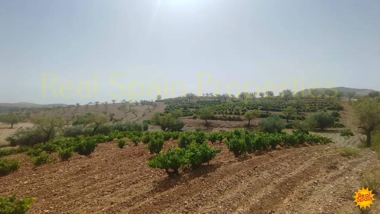 Residential land for sale in Vélez-Rubio