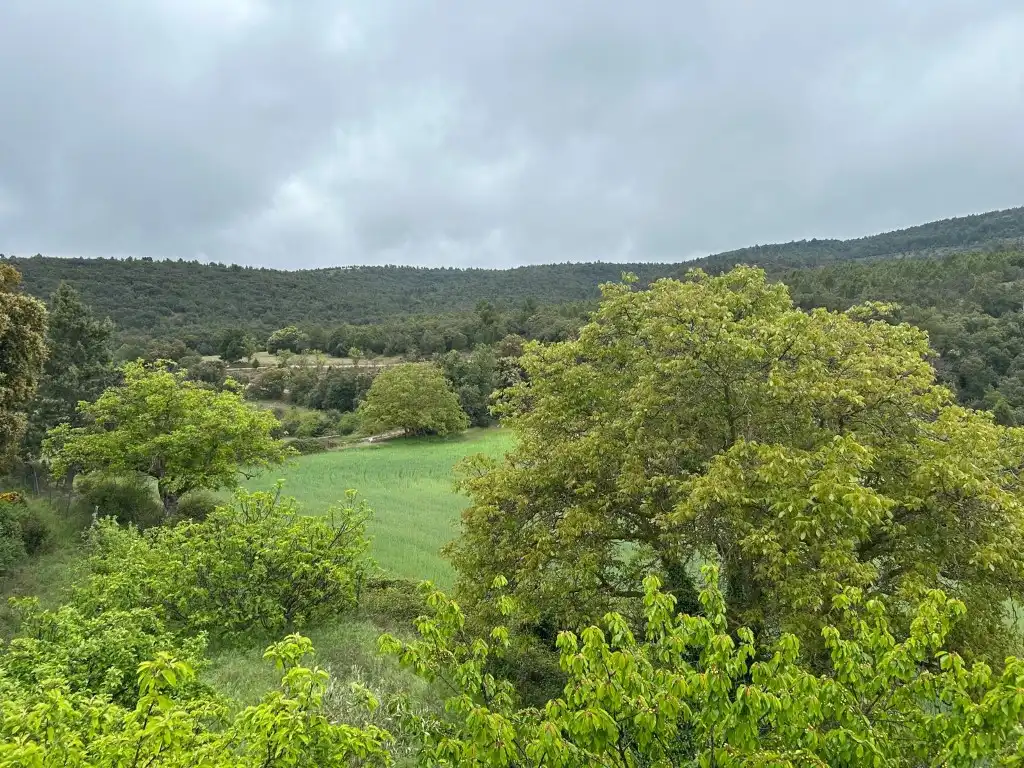 Country homes for sale in El Toro