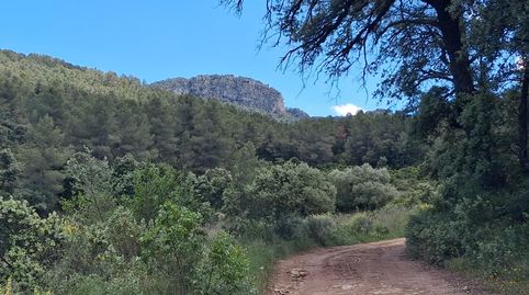 Espectacular finca de secano en las afueras de Rasquera, immagine 3