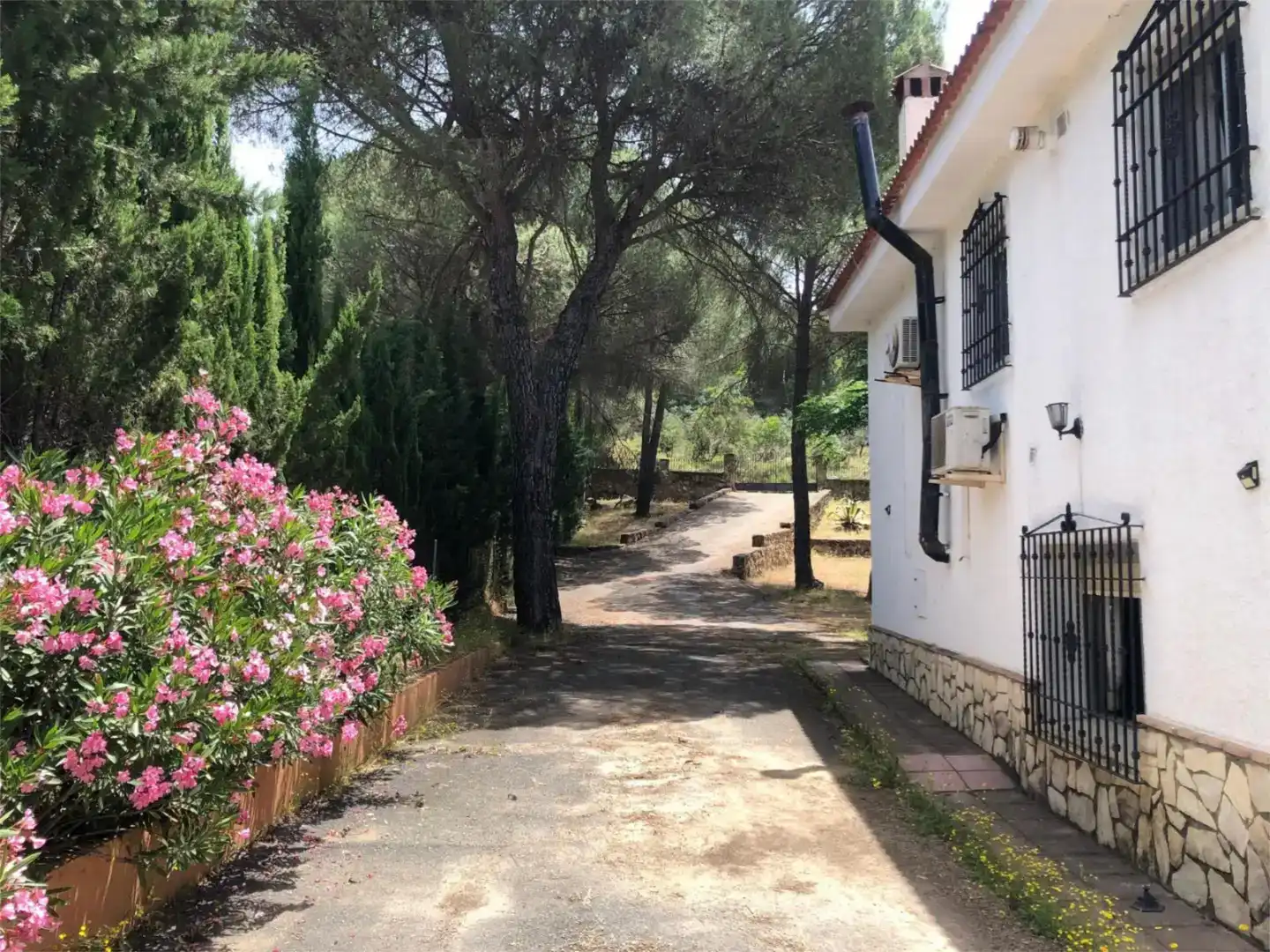 Jardí de Pis de lloguer en Córdoba amb Aire condicionat, Jardí privat i Traster