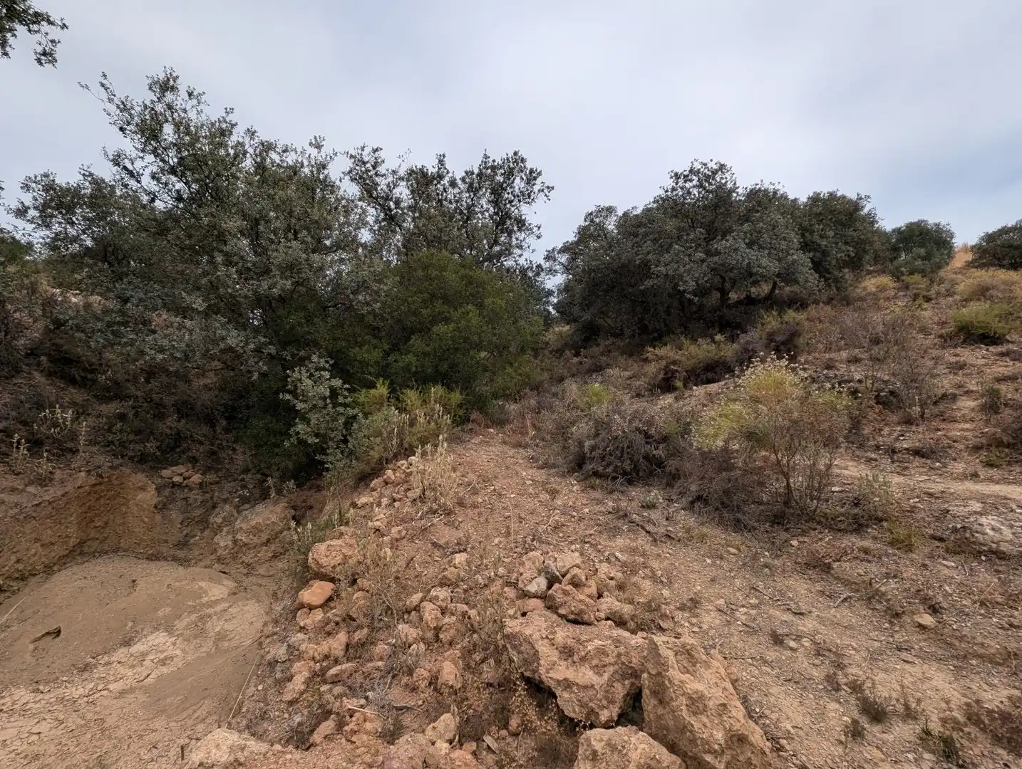 Casa o xalet en venda en Loja amb Calefacció, Jardí privat i Terrassa