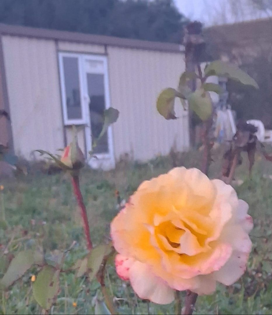 Country homes for sale in Manacor Centre