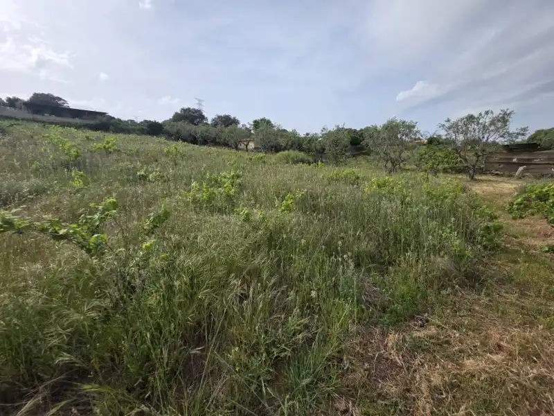 Terreni e lotti in vendita a Malpartida de Plasencia, imagen 8