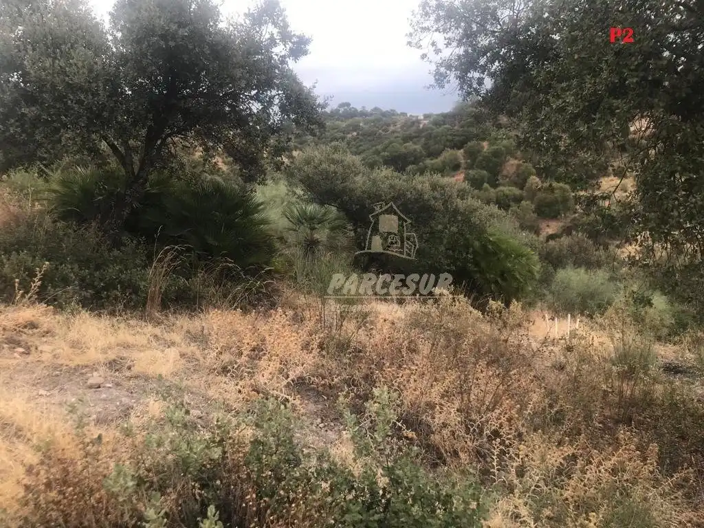 Residential land for sale in Almodóvar del Río, imagen 7