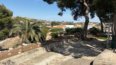 Foto 5 de Finca rústica en venda a San Crispín, Elche / Elx