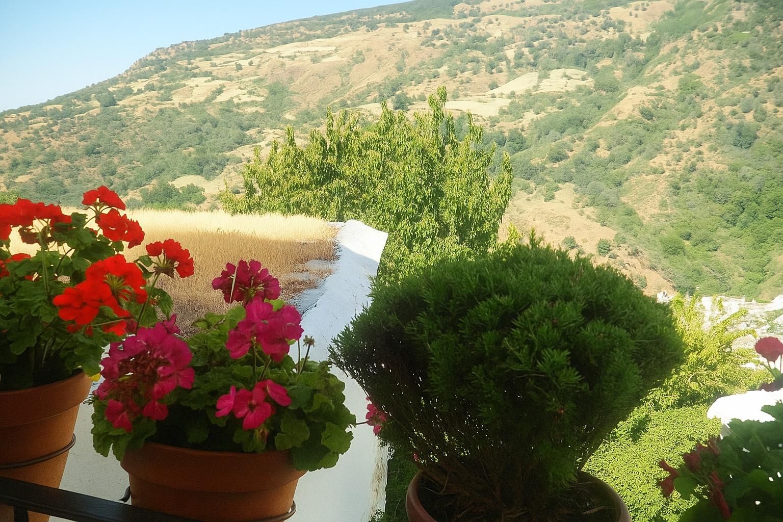 Garden of House or chalet for sale in Capileira