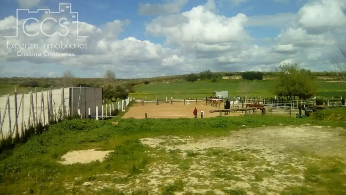 Vista exterior de Finca rústica en venda en Pilas