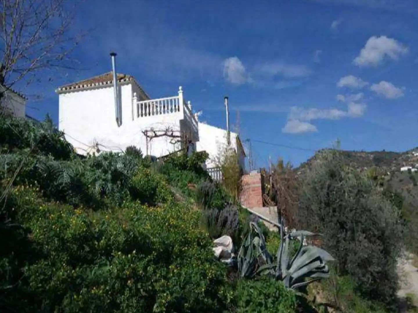 Jardín de Casa o chalet en venta en Comares