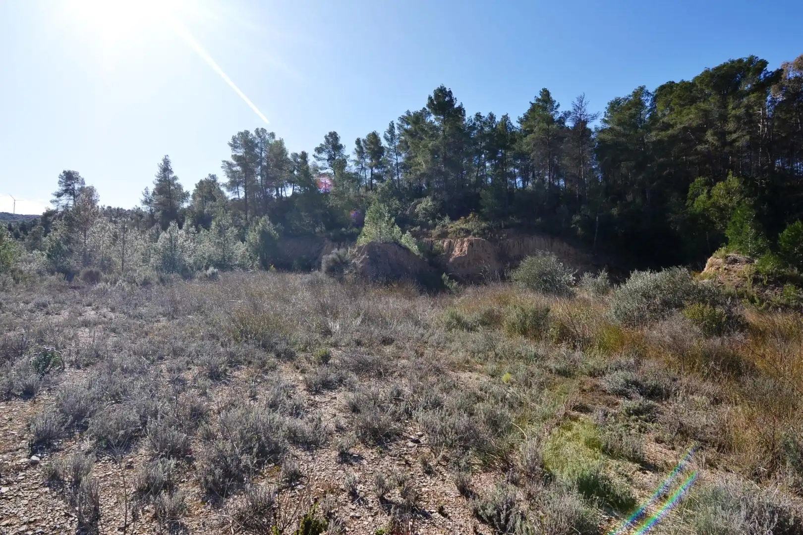 Rural land for sale in Ascó, imagen 33