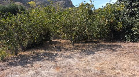 Foto 4 de Terreno en venta en Calle el Chorrito, 22, Teror pueblo, Teror