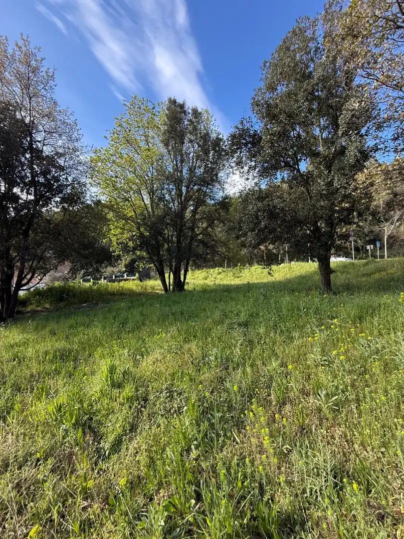 Wohnbaugrundstück zum Verkauf in Passeig de Can Figueres 33, imagen 14