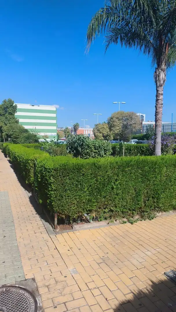 Garden of Flat for sale in Noroeste 