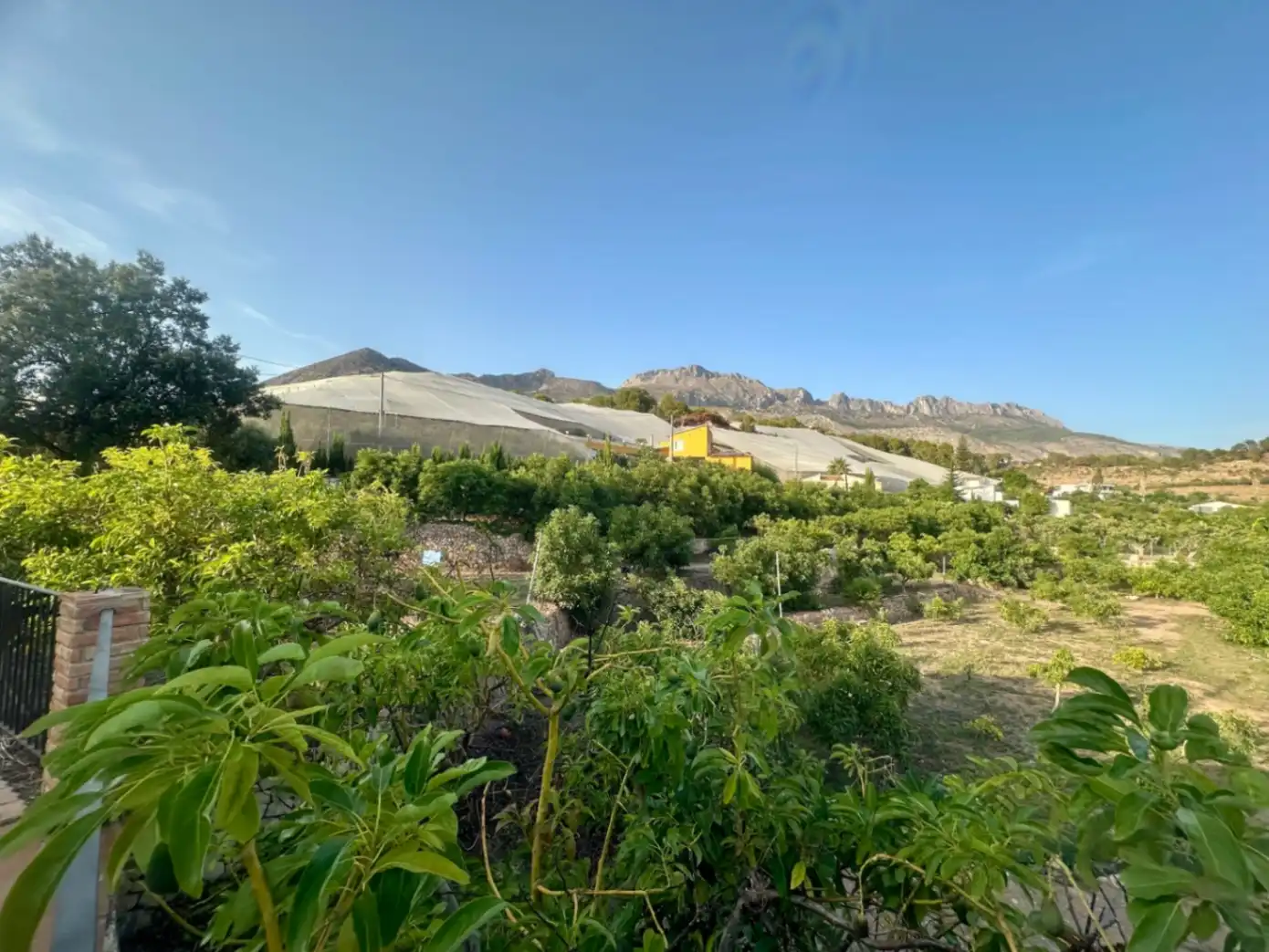 Finca rústica en venta en Callosa d'en Sarrià con Jardín privado, Terraza y Trastero