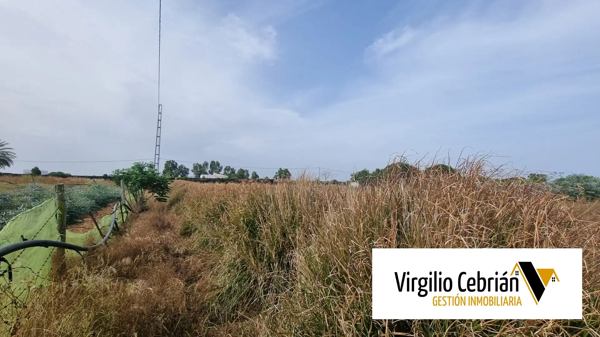 Casa rústica amb jardí en venda a Las Tres Piedras - Costa Ballena, imagen 4