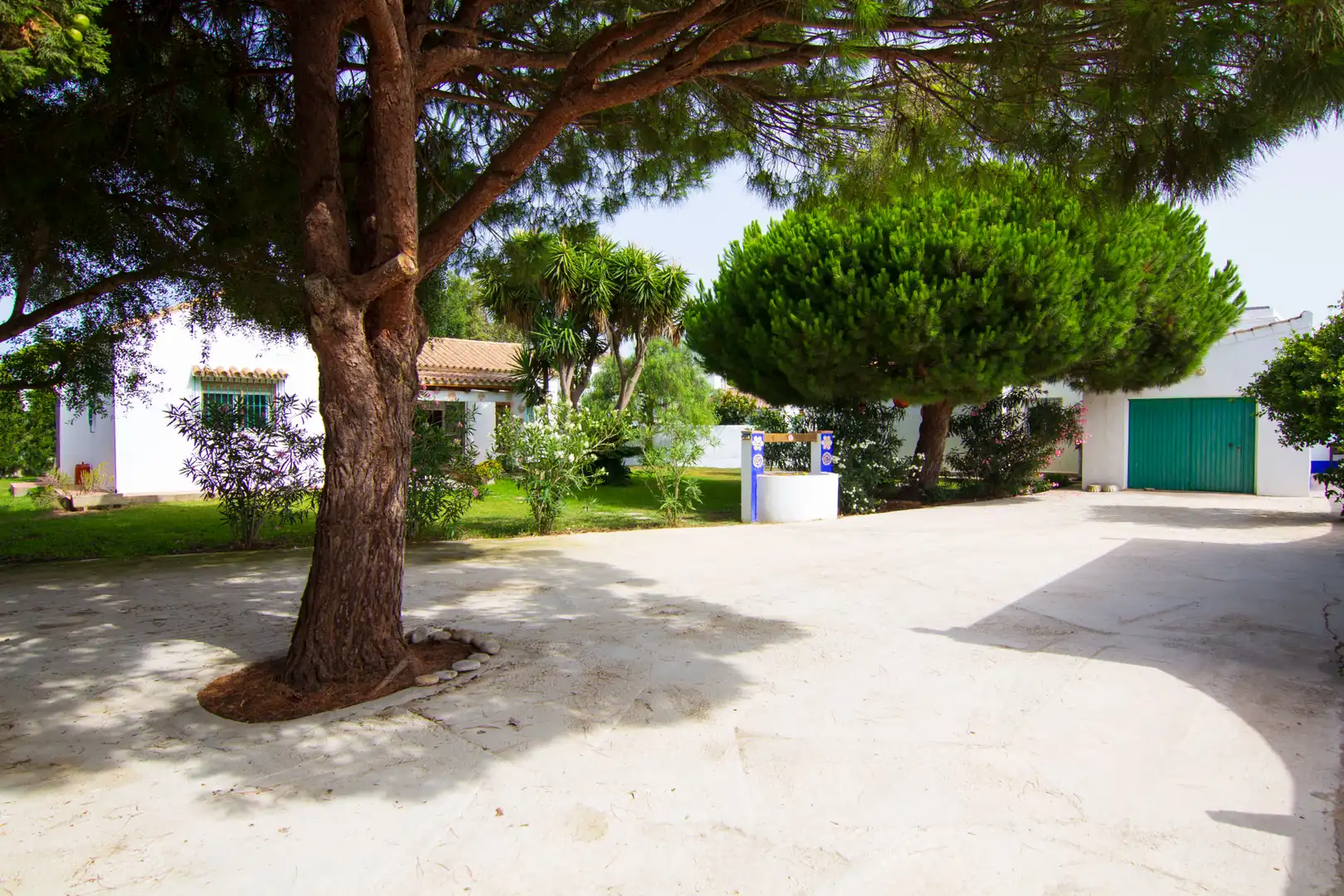 Garden of Country homes for sale in Barbate  with Air Conditioner, Heating and Private garden