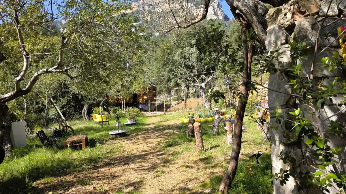 Terreny rústic en venda a Sóller, imagen 4