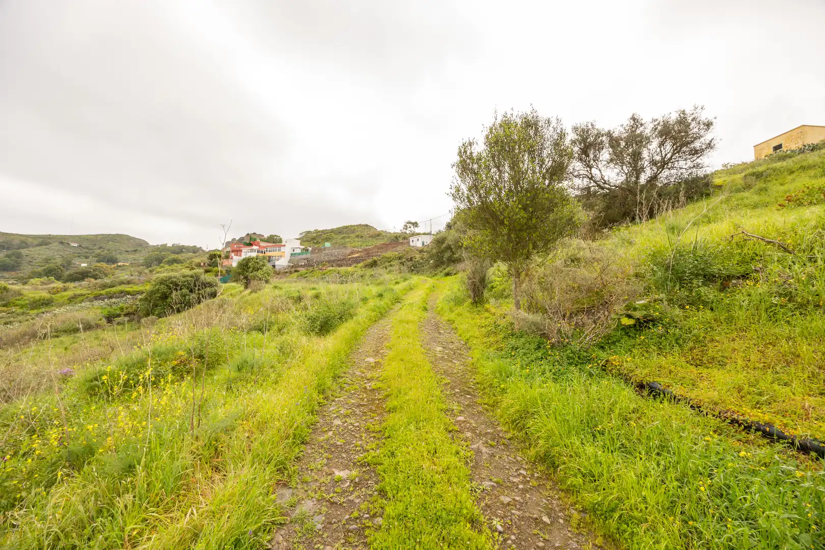Country homes for sale in Santa Brígida  with Private garden and Terrace