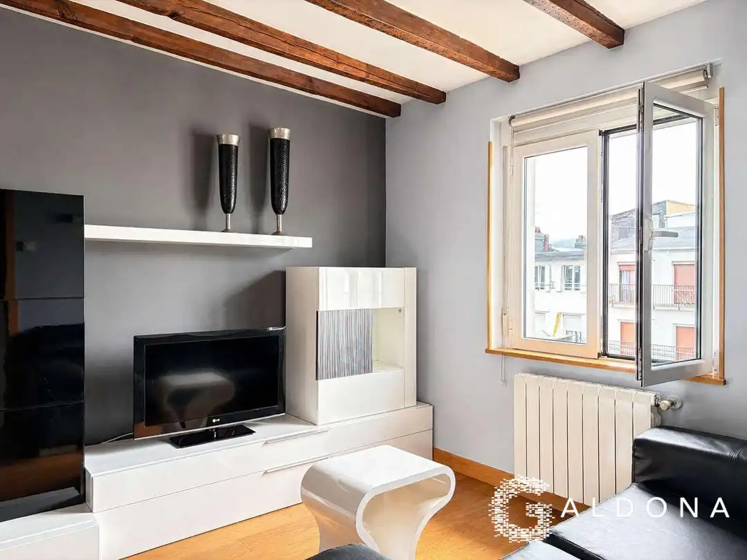 Sala d'estar de Pis en venda en Donostia - San Sebastián  amb Aire condicionat, Calefacció i Moblat