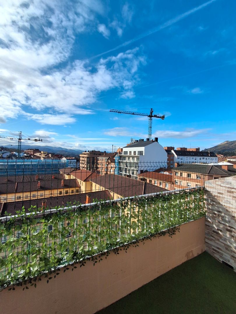 Exterior view of Attic for sale in Oviedo   with Heating and Terrace