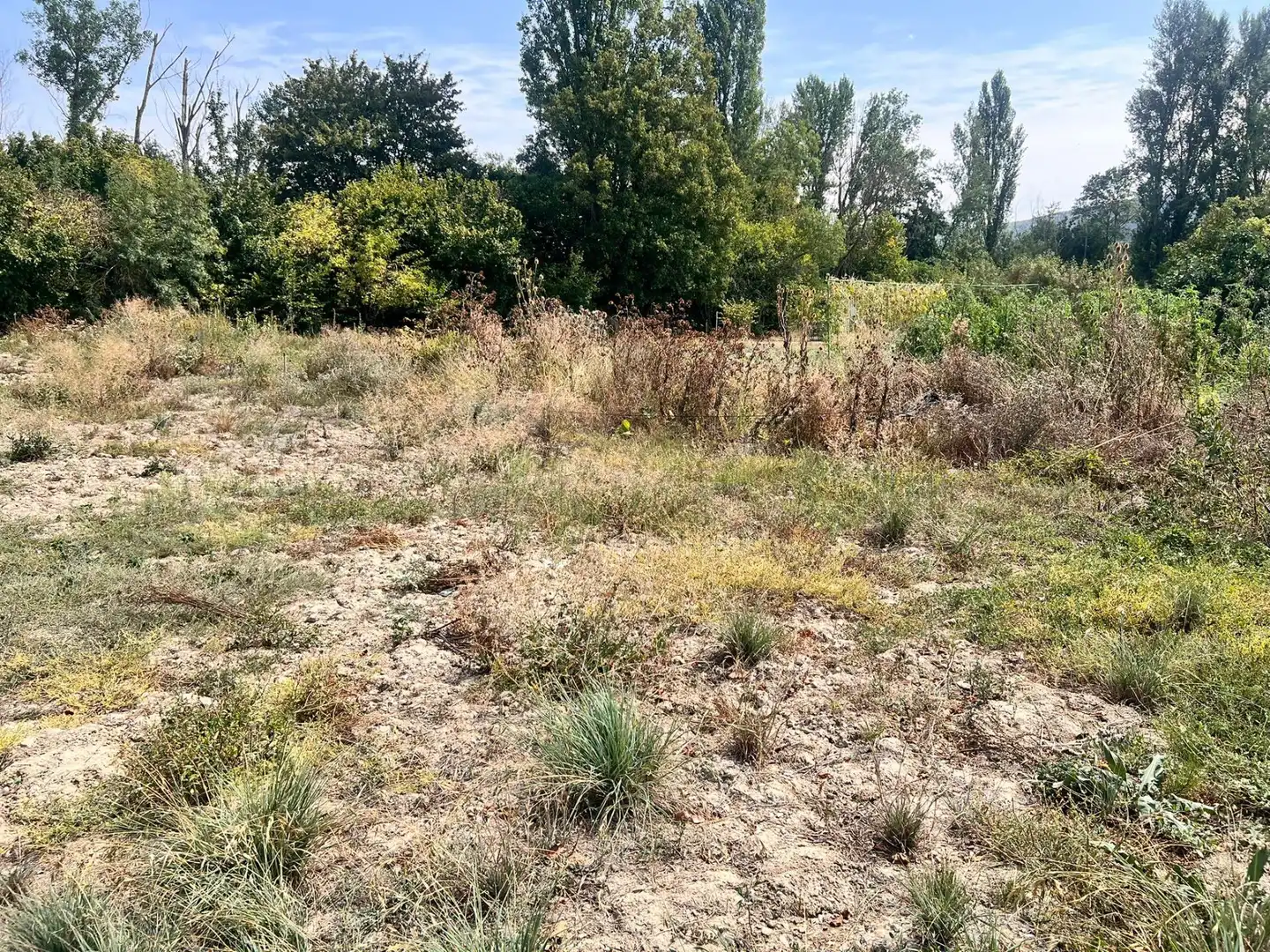 Terreno rústico en venta en Urroz-Villa, imagen 3
