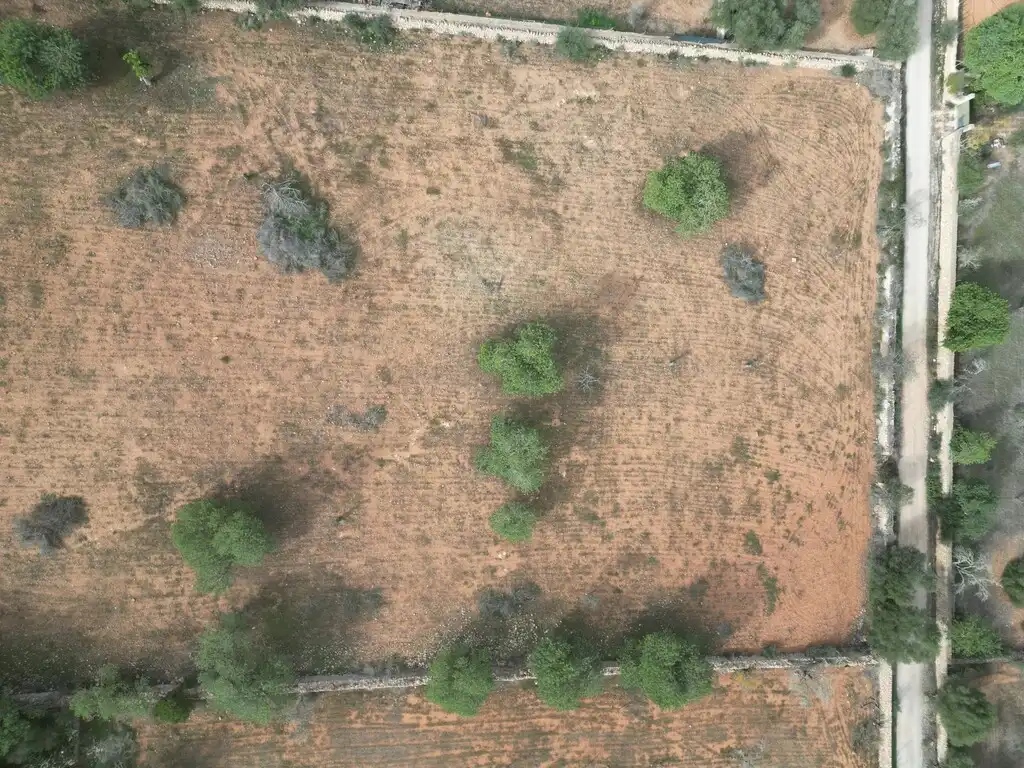 Casa rustica con piscina in vendita a Llucmajor pueblo, imagen 12