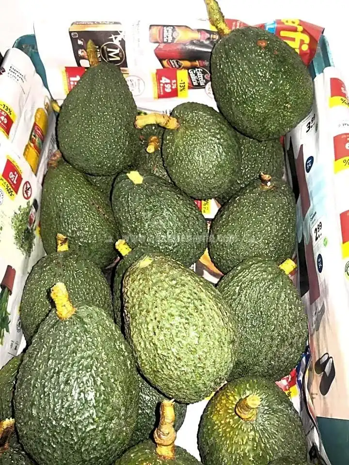 Terrenos y solares en venta en Centro, imagen 32