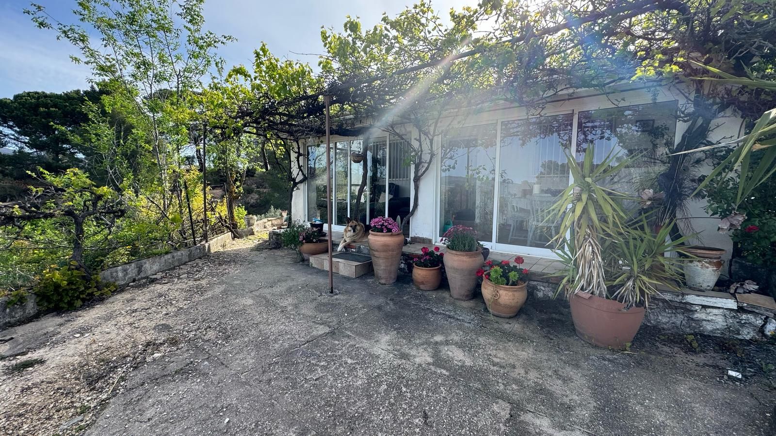 Jardí de Finca rústica en venda en Ibi amb Calefacció, Jardí privat i Terrassa