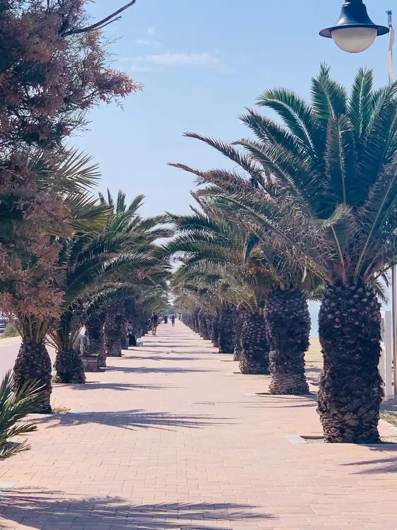 Vista exterior de Casa o chalet en venta en San Pedro del Pinatar con Balcón