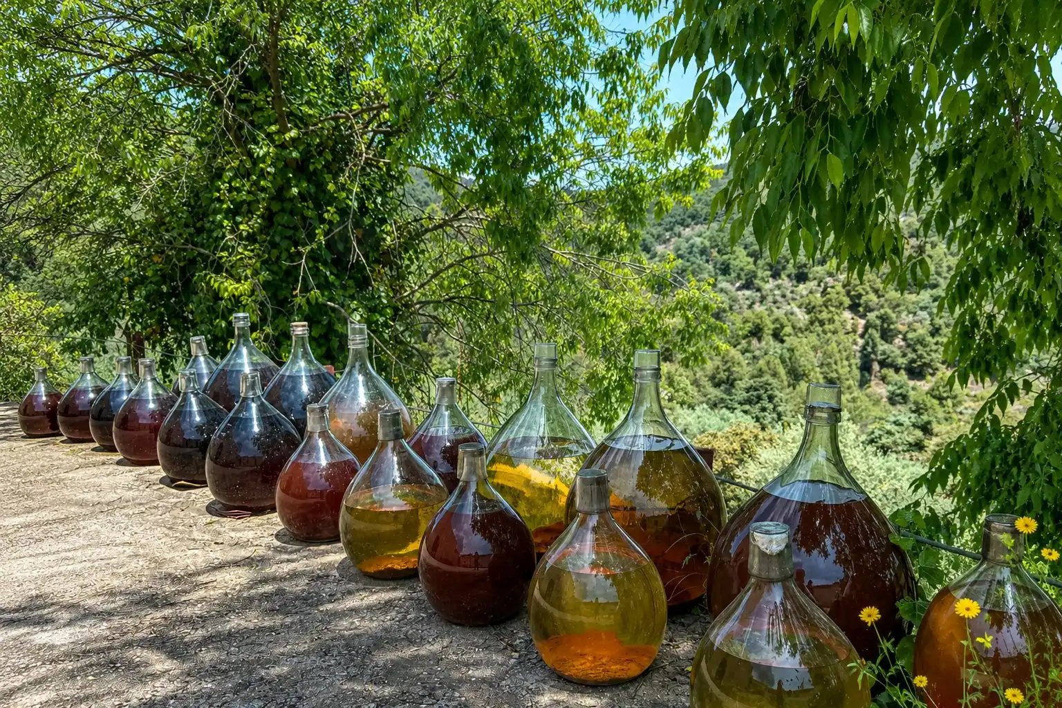 Jardí de Finca rústica en venda en El Molar (Tarragona) amb Calefacció, Terrassa i Piscina