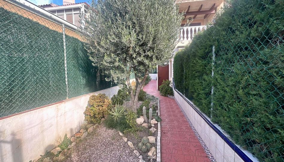 Foto 1 de Piso de alquiler en El Moncayo - El Pòrtic, Alicante