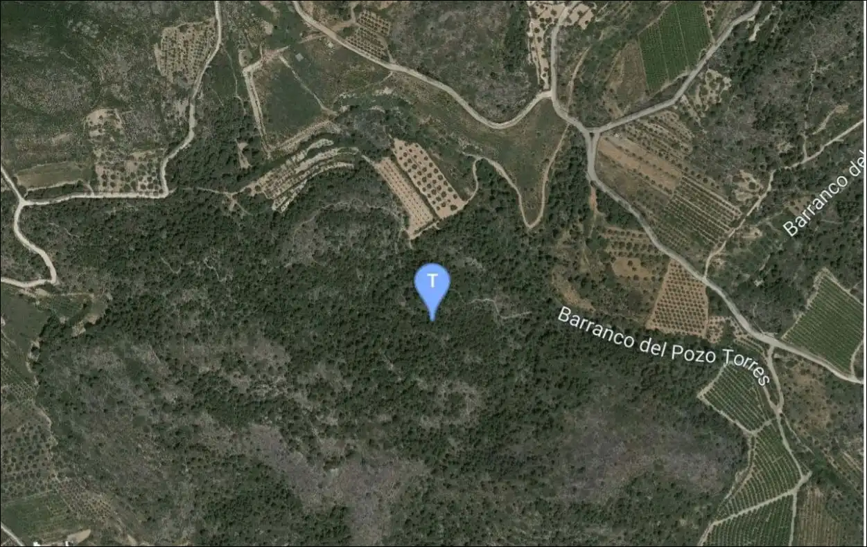 Terreno rustico in vendita a Partida Palomera Cabo La Losa POL 2, imagen 4