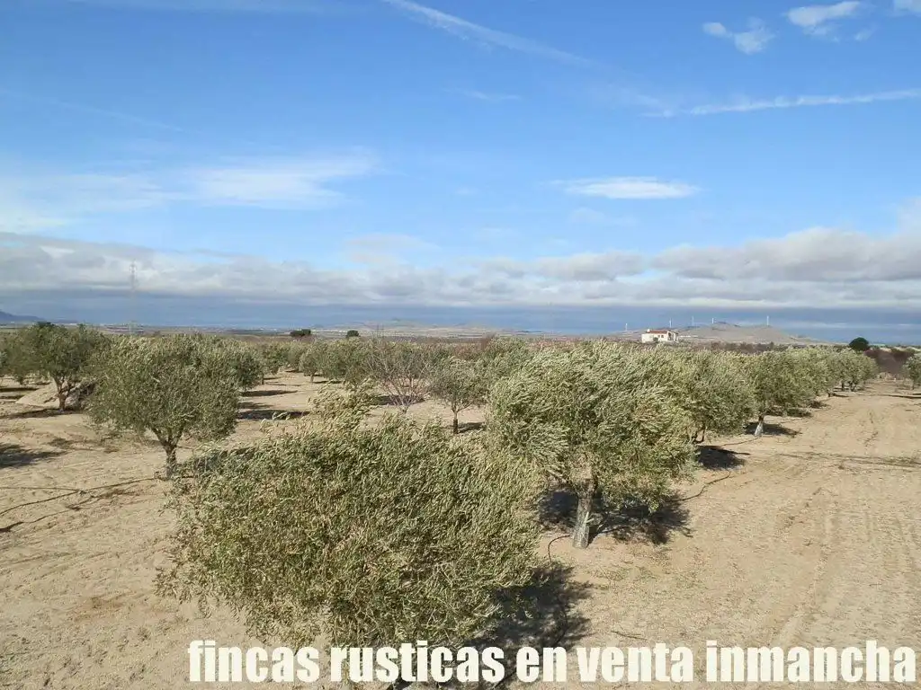 Terreno en venta en Mora