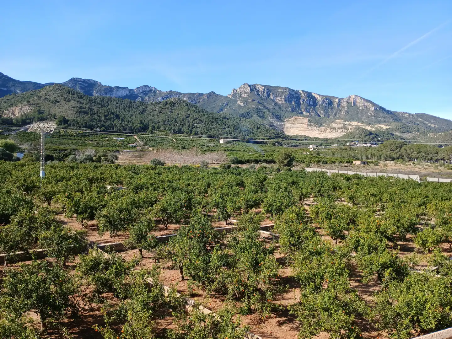 Terreny en venda en Llaurí