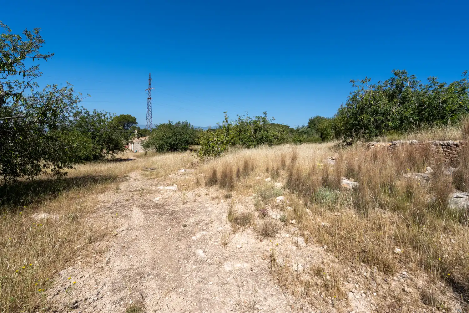 Terrain rustique à vendre à Camí de l'ardiaca 106, imagen 40