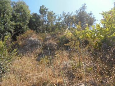 Maison rustique avec jardin à vendre à Motril  ciudad