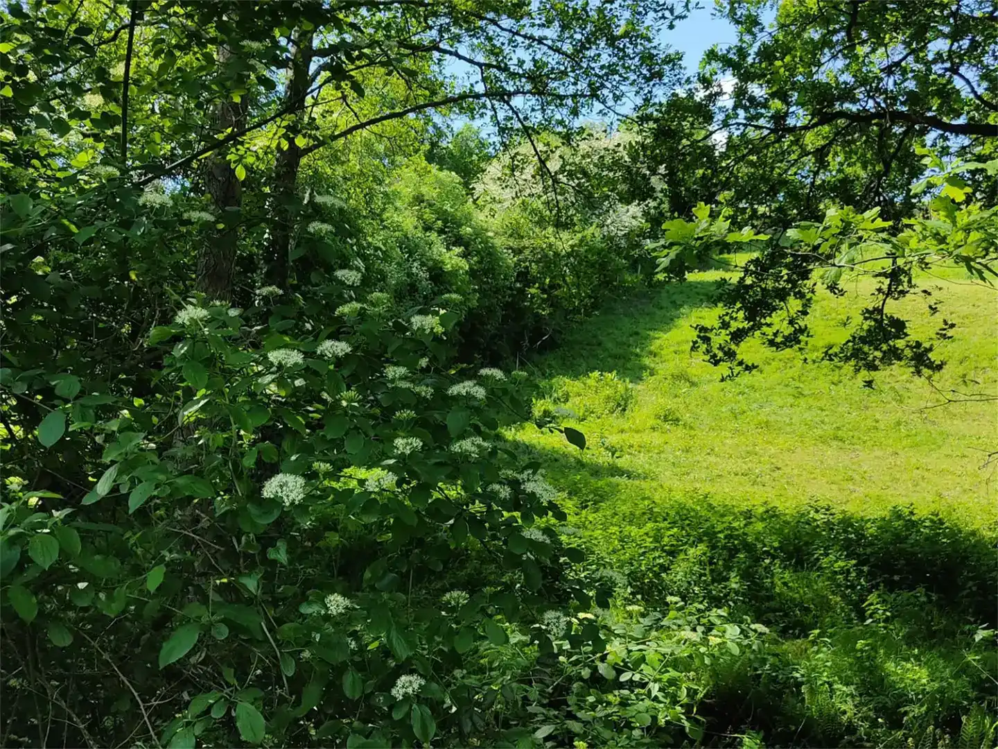 Grundstücke zum Verkauf in Idiazabal