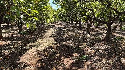 Foto 3 von Country house zum Verkauf in Del Forners, Madrigal, Vila-real