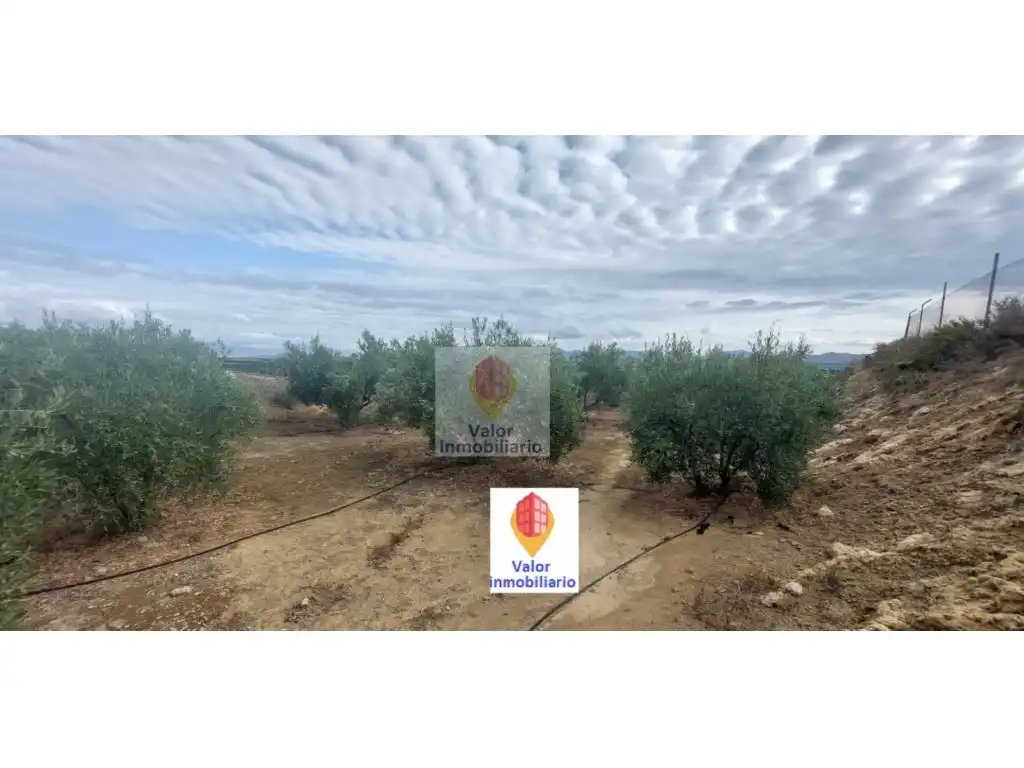 Casa o chalet en venta en Murcia