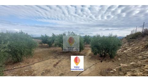 Foto 3 de Casa o xalet en venda a Diseminados Casas (cañada S. Pedro), Cañadas de San Pedro,  Murcia Capital