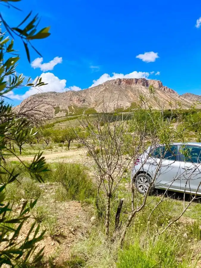 Terrenos y solares en venta en Vélez-Blanco, imagen 5