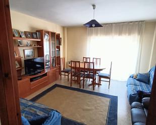 Living room of Flat for sale in Pozaldez  with Terrace and Balcony