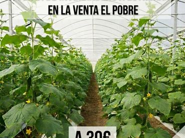 Terreno rustico in vendita a Camino Calesa 8