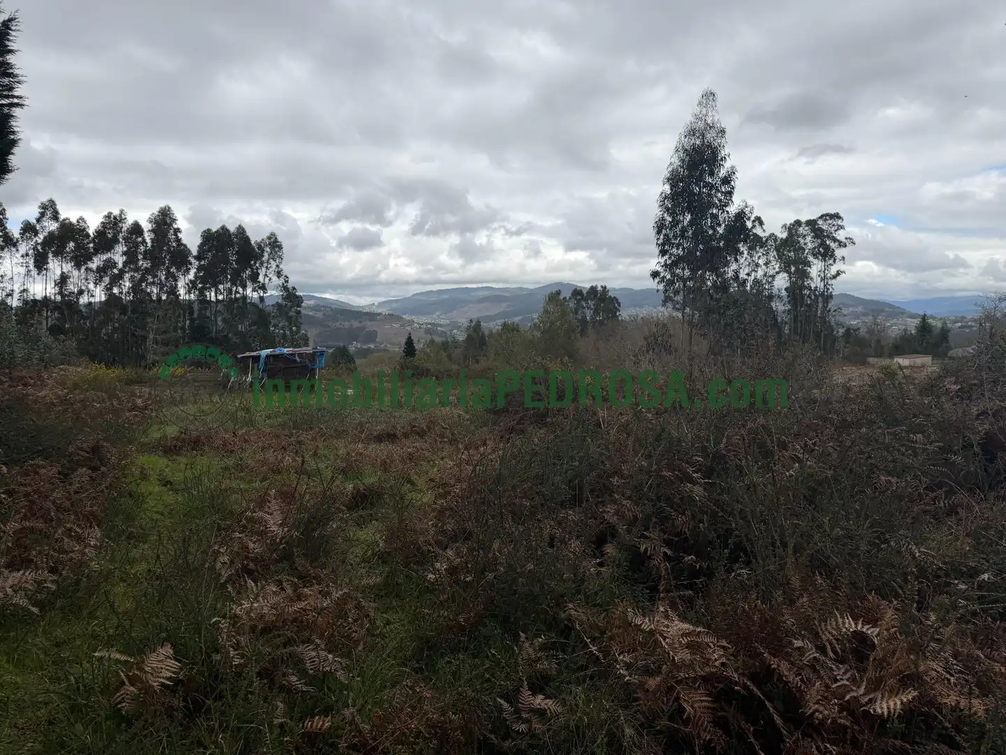 Rural land for sale in Lugar de La Iglesia, imagen 4