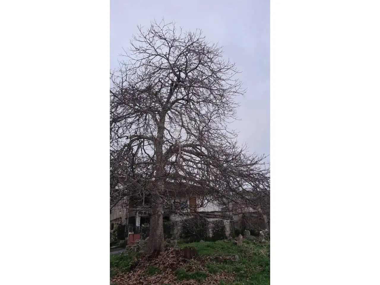 Haus mit Garten zum Verkauf in Vilamarín, imagen 2