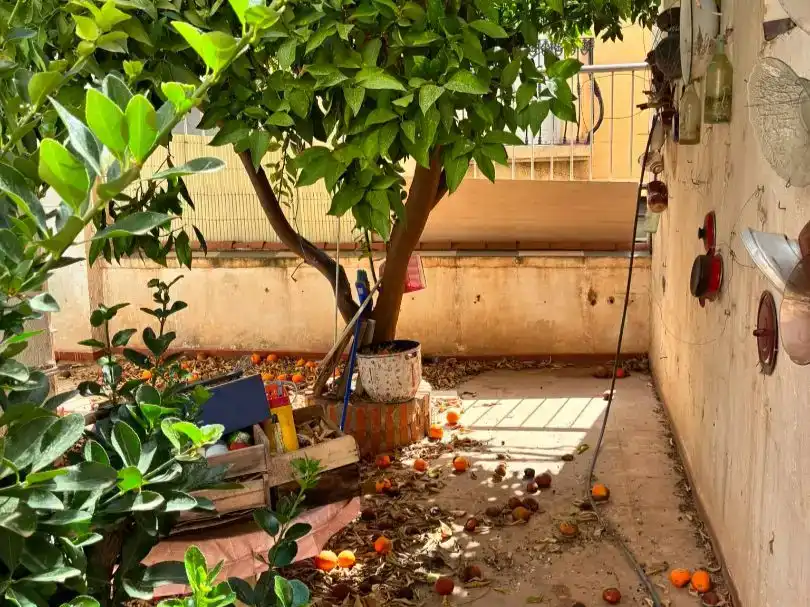 Jardí de Planta baixa en venda en Canjáyar amb Balcó
