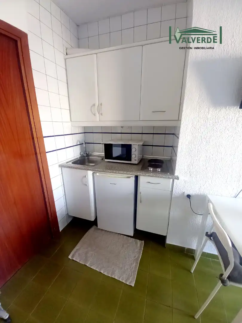 Studio with terrace to rent in Plaza de Gracia, imagen 6