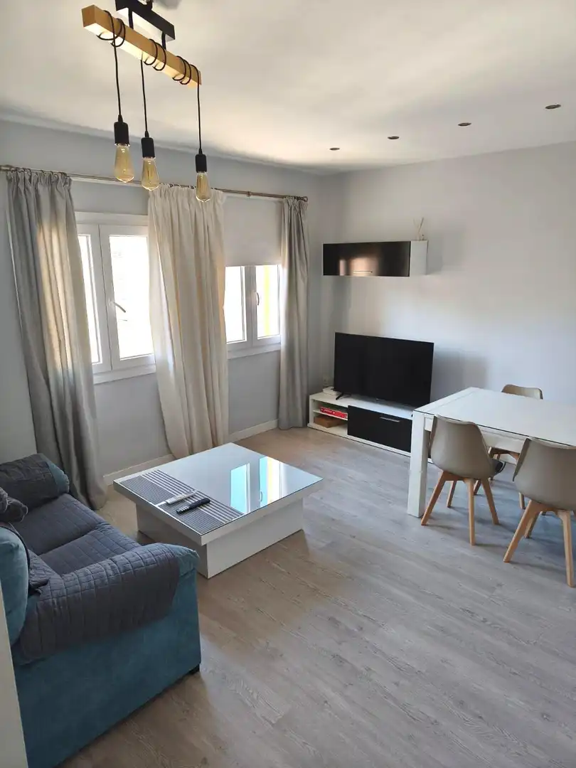 Living room of Flat for rent in Centro