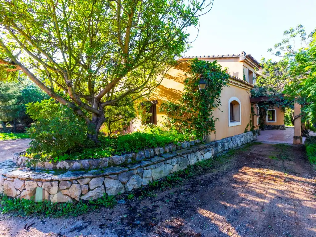 Commercial properties for sale in Calle Pedrapiquers (Dels), Borriol
