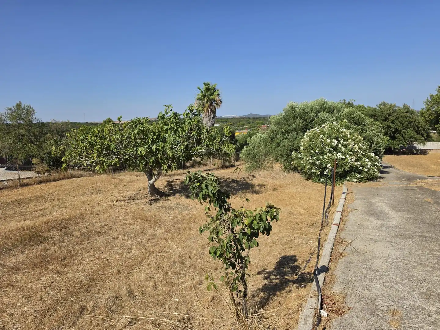 Rural land for sale in Calle Verea de la tarde, imagen 16