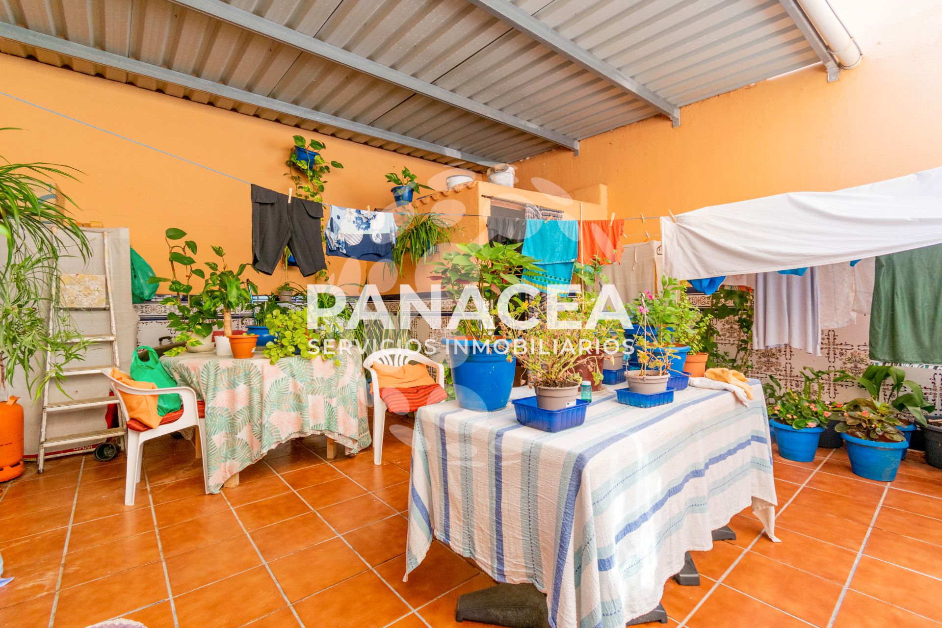 Garden of Single-family semi-detached for sale in Roquetas de Mar  with Terrace and Furnished